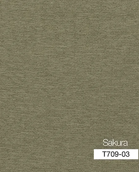 SA 3