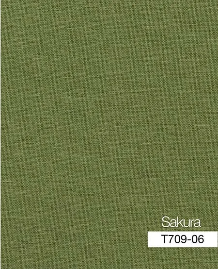 SA 6